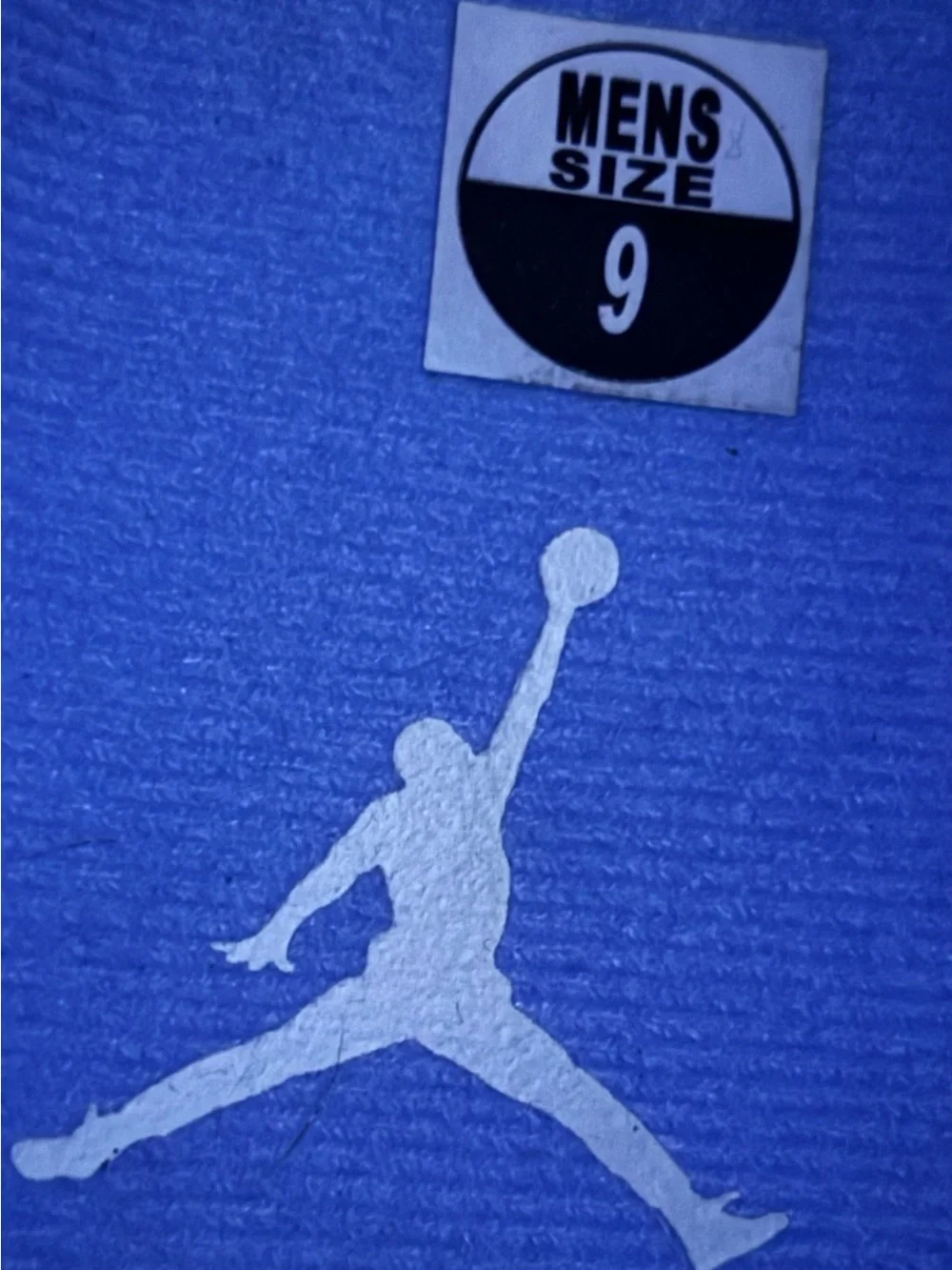 Jordan 12 Retro Melo 2025 Size 9